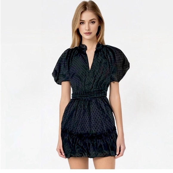 Zara Swiss Dot, Neck Ruffled, Sheer Sleeve, Mini Short Dress, Black, Size M - Picture 1 of 9